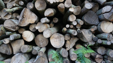 Air Dried Logs