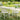 Blaisdon 4 Seat Dining Set
