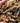 Premium Wood Chips