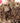 Peat-Free Mulch (Digestate) – Nutrient-Rich Soil Improver