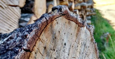 Sustainable Log Production