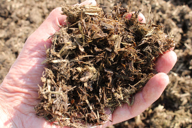 Peat-Free Mulch (Digestate) – Nutrient-Rich Soil Improver