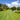 Gardeners near Canterbury